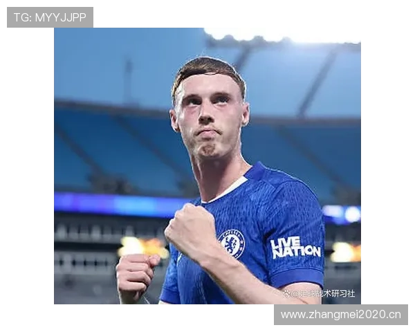 帕尔默是否为体系产物 战术适配与角色依赖度解析 帕尔默是否为体系产物 战术适配与角色依赖度解析